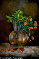 All content © Larry Shapiro. All rights reserved.