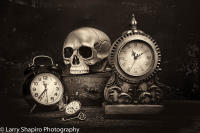 All content © Larry Shapiro. All rights reserved.