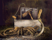 All content © Larry Shapiro. All rights reserved.