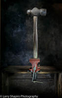 All content © Larry Shapiro. All rights reserved.