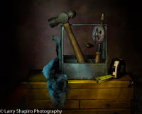 All content © Larry Shapiro. All rights reserved.