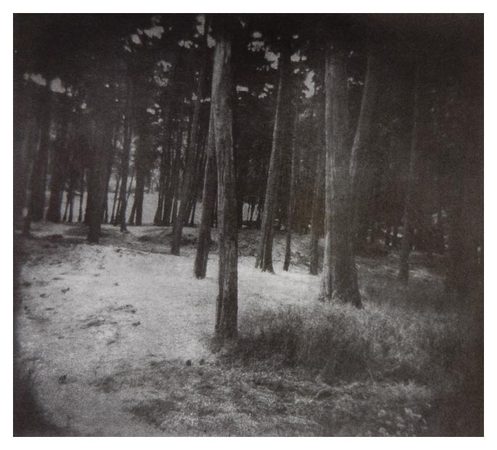 Presidio