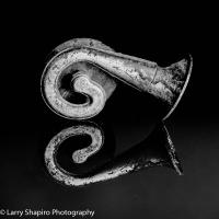All content © 2023 Larry Shapiro. All rights reserved.