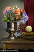 All content © 2023 Larry Shapiro. All rights reserved.