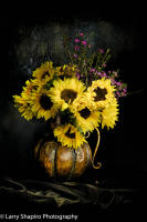 All content © Larry Shapiro. All rights reserved.