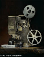 All content © Larry Shapiro. All rights reserved.