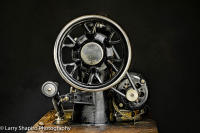 All content © Larry Shapiro. All rights reserved.