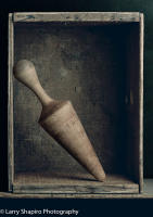 All content © Larry Shapiro. All rights reserved.