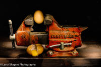 All content © Larry Shapiro. All rights reserved.