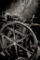 All content © Larry Shapiro. All rights reserved.