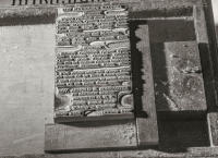 All content © Larry Shapiro. All rights reserved.