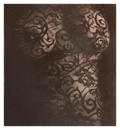 laced torso 7x7 oil print